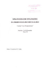Sprawozdanie finansowe fundacji, bilans i rachunek wyników 2013